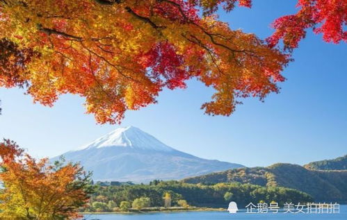 為生兒子拋棄女兒,多年后找到女兒,卻被女兒趕了出來(lái),報(bào)應(yīng)啊