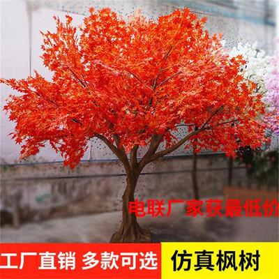 廣州廠家批發(fā)家居年貨日本紅楓樹(shù) 酒店裝飾楓樹(shù)植物 松濤工藝盆栽紅楓