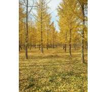 產(chǎn)品庫(kù)