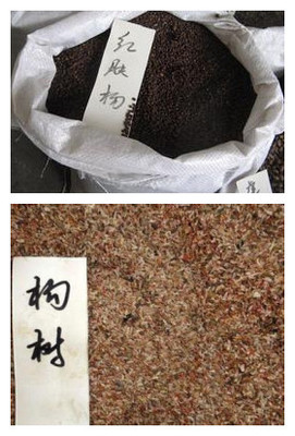 【贛州市日本紅楓種子價格】價格,廠家,其他種子、種苗-搜了網(wǎng)